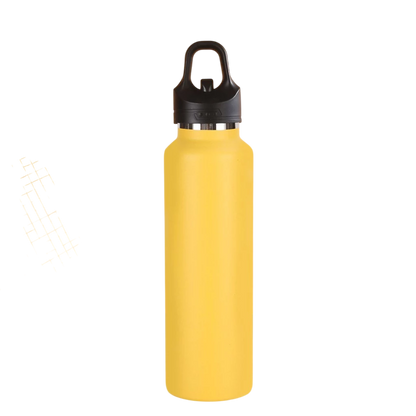 Modern Tumbler Bottle Stainless Steel 700ML (Lock-Release Cap)